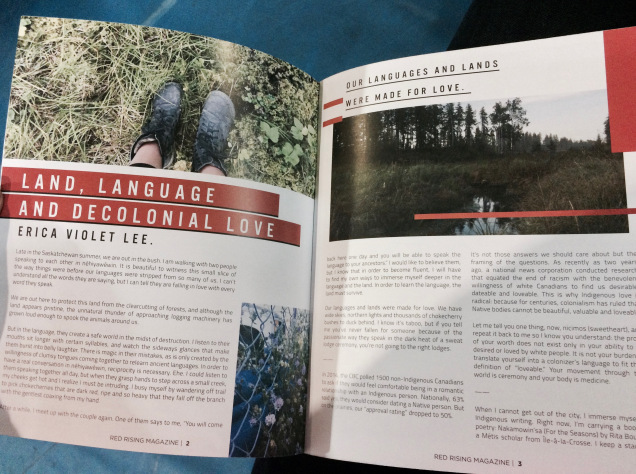 landlanguagedecoloniallove.jpg
